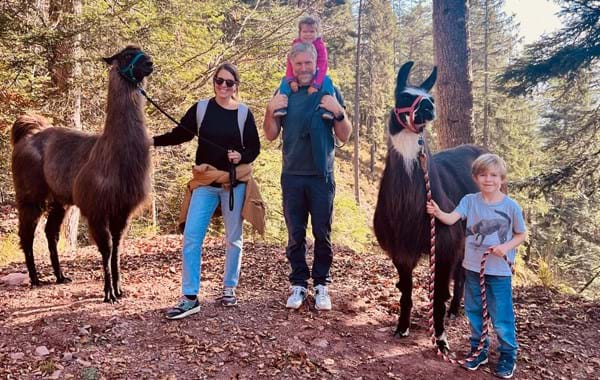 Lama Wanderung Wilder Kaiser